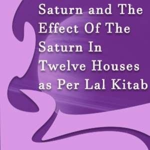 12 houses and saturn